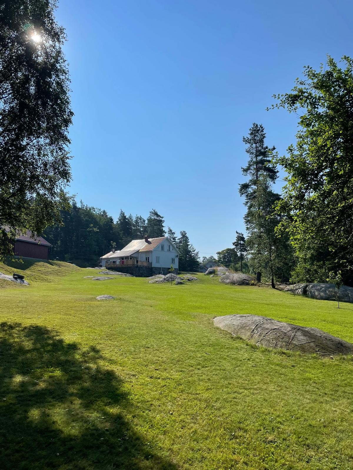 Selgers egne bilder Galleribilde