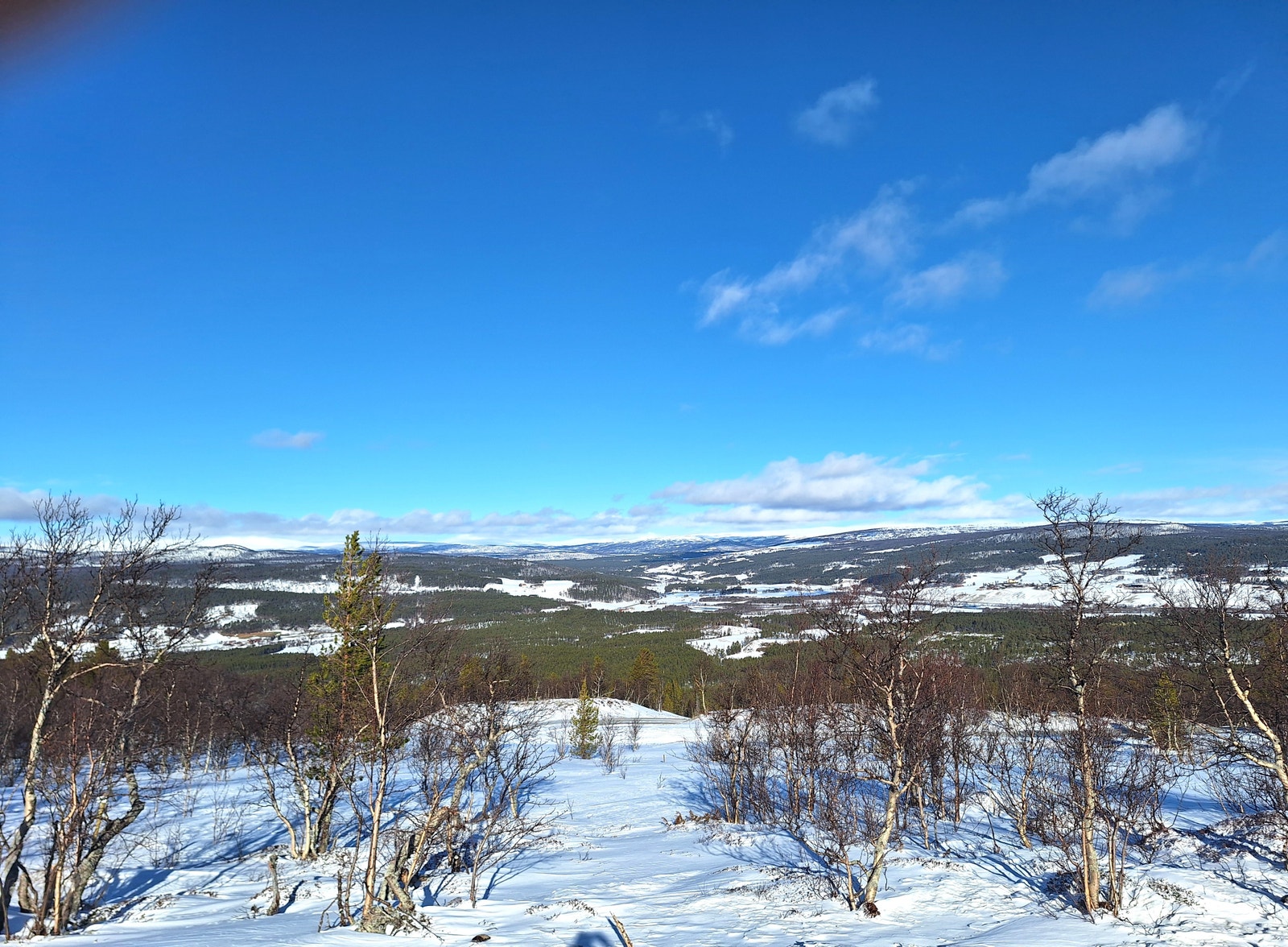 Utsikt fra tomt Galleribilde
