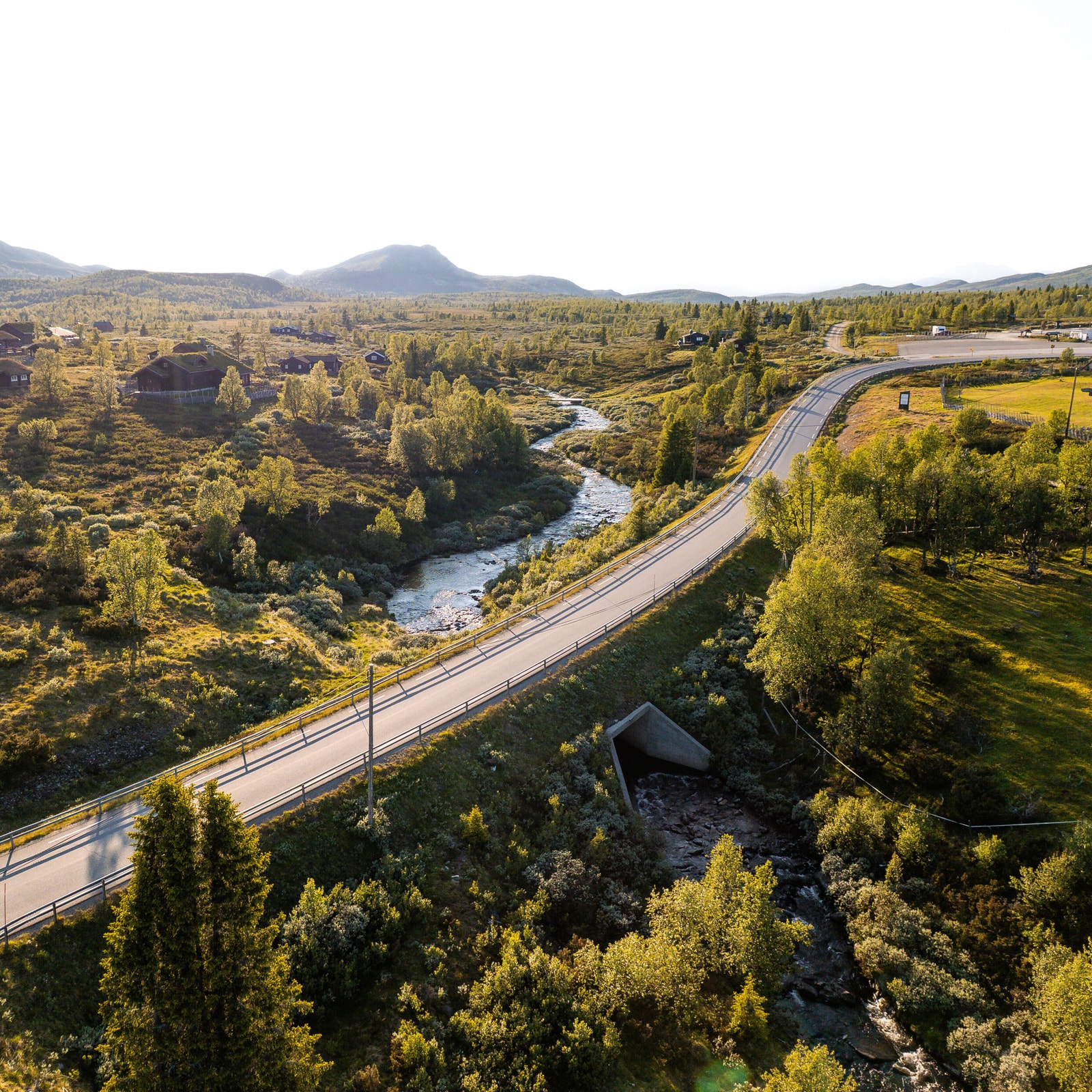 Nærområdet - Venabygdsfjellet Galleribilde