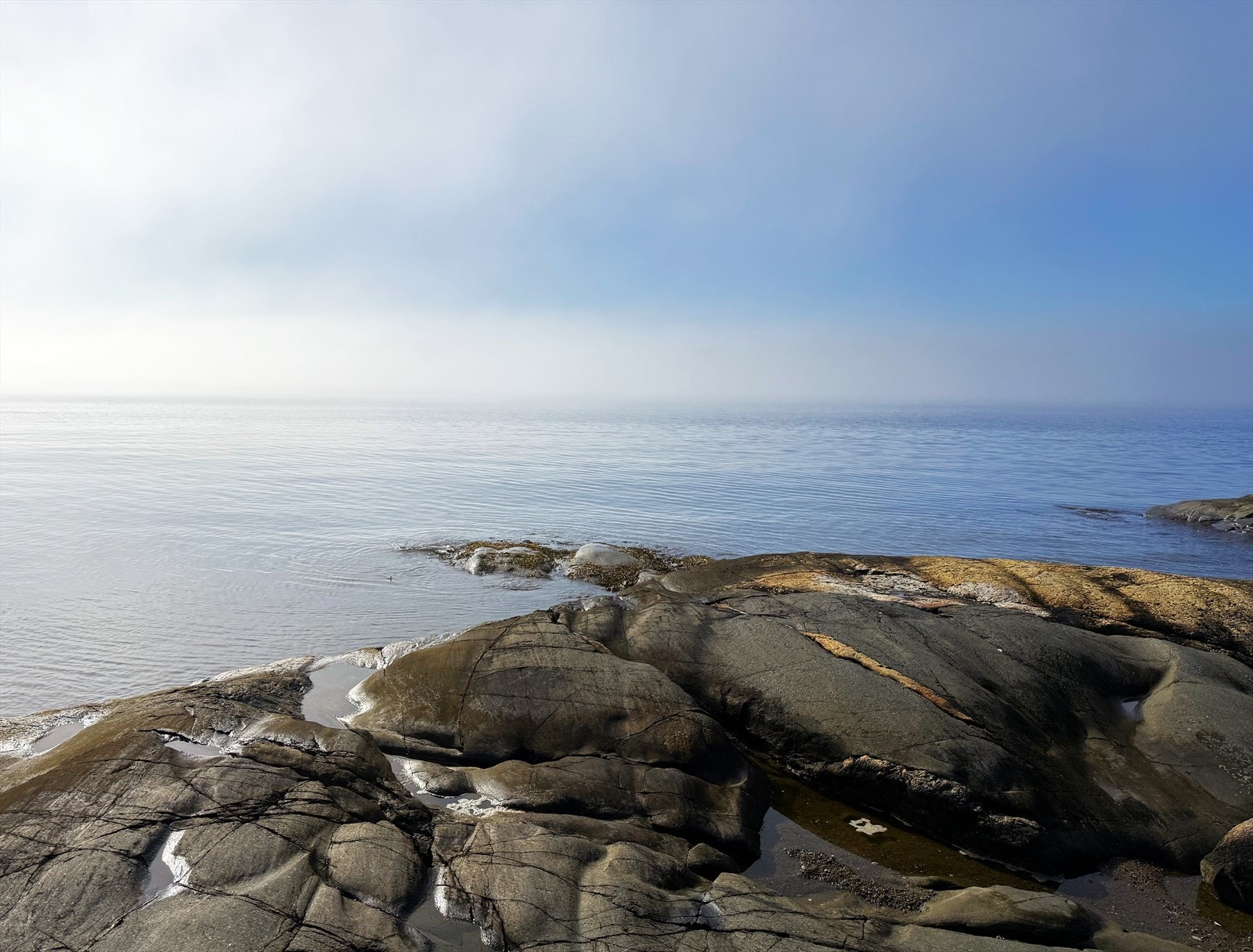 En stille morgen ved Oslofjorden. Galleribilde