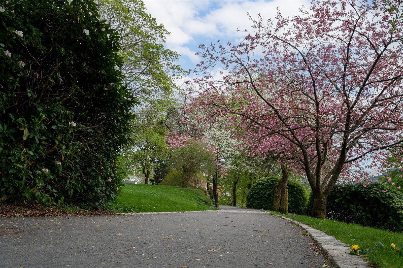 - Er du glad i natur og friluftsliv, vil du sette pris på den fantastiske beliggenheten - Galleribilde