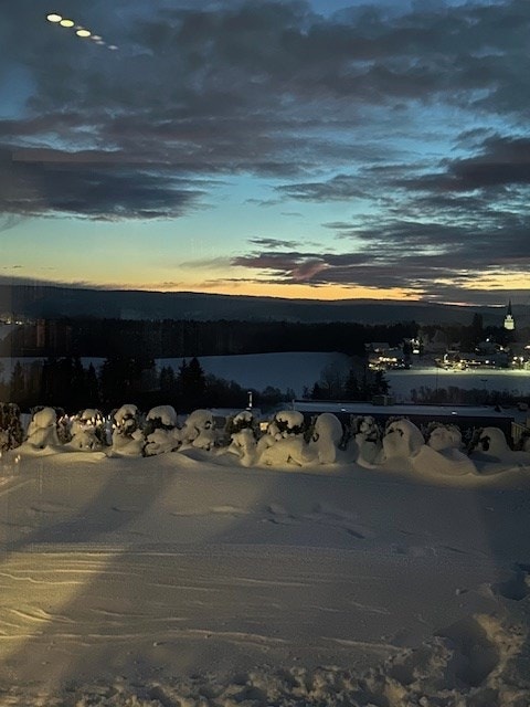 Selgers stemningsbilder av utsikten fra eiendommen. Galleribilde