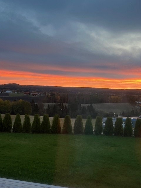 Selgers stemningsbilder av utsikten fra eiendommen. Galleribilde