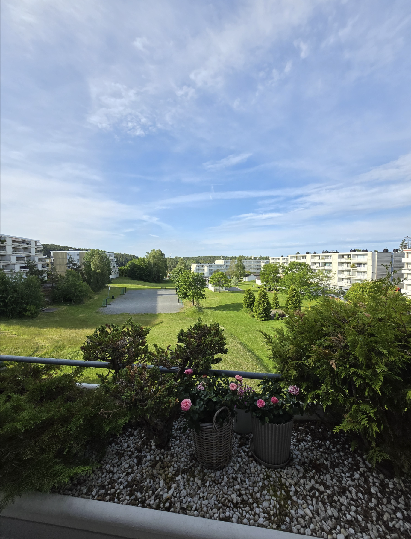 Selgers sommerbilder. Galleribilde