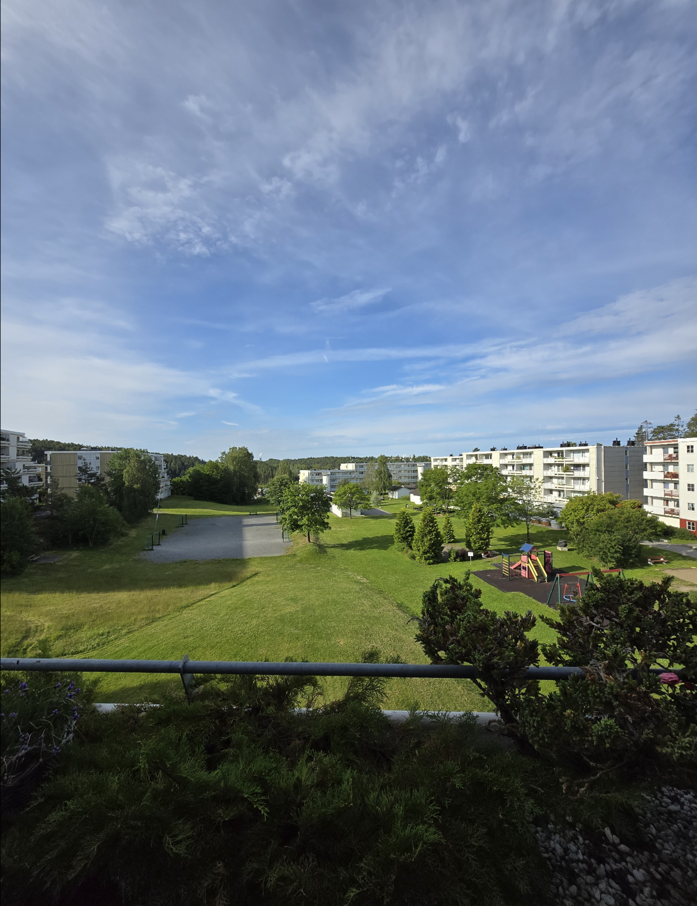 Selgers sommerbilder. Galleribilde