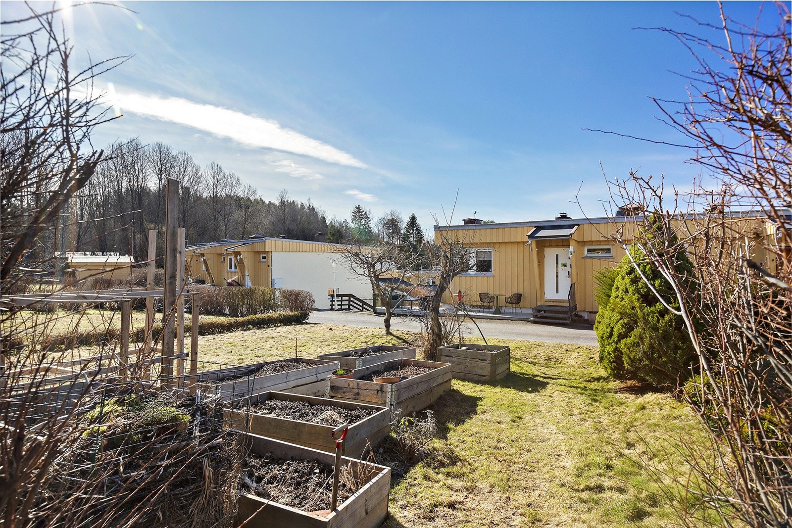 Hageen er godt beplantet. Galleribilde