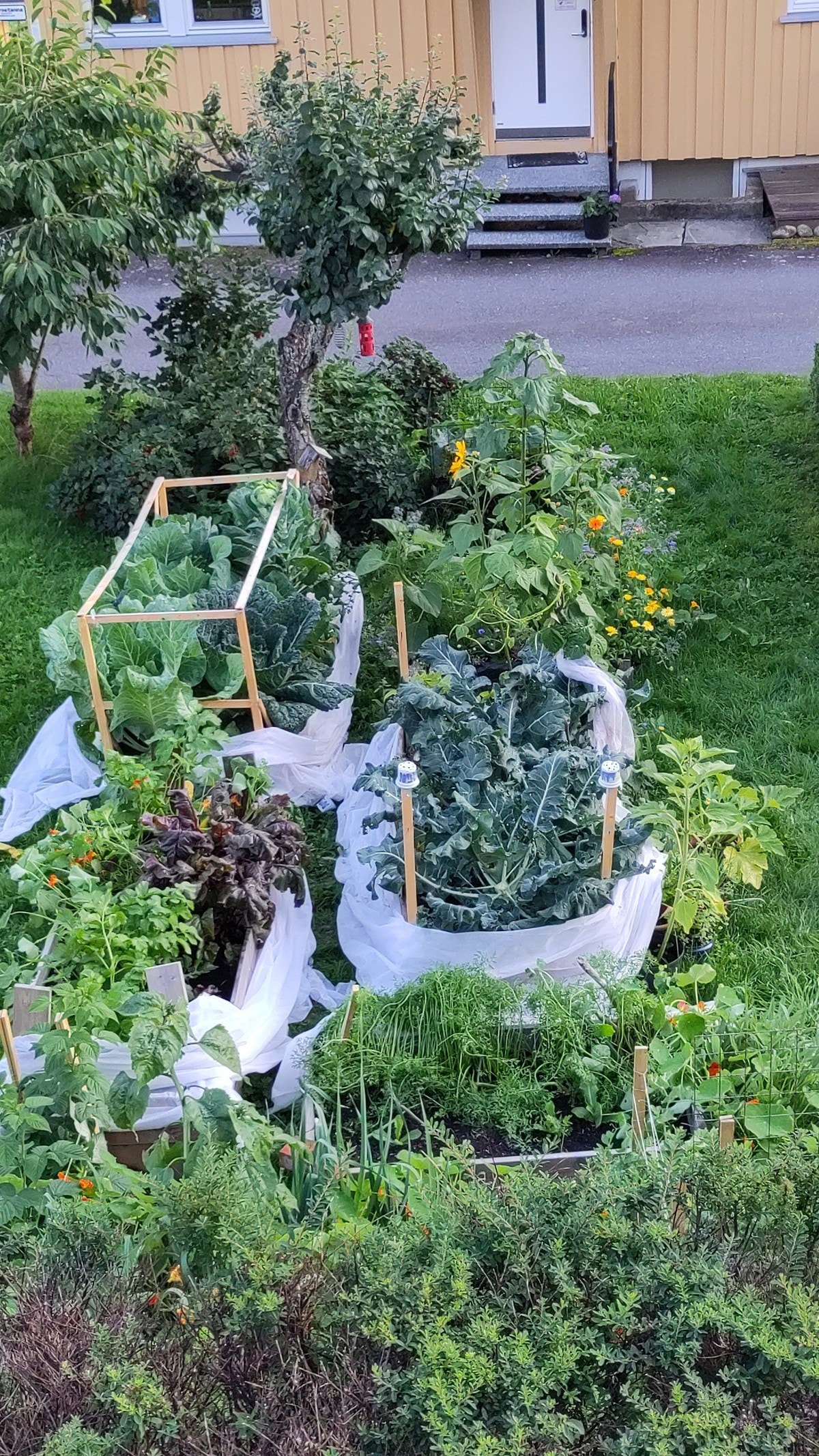 Hage (selgers foto) Galleribilde