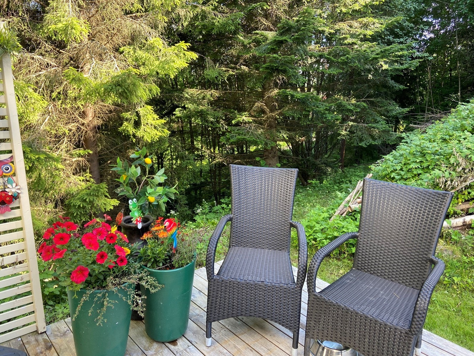 Sommerbilde (selgers bilde) Galleribilde