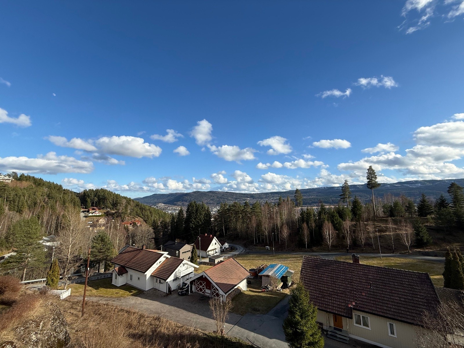 Selgers private bilder. Galleribilde