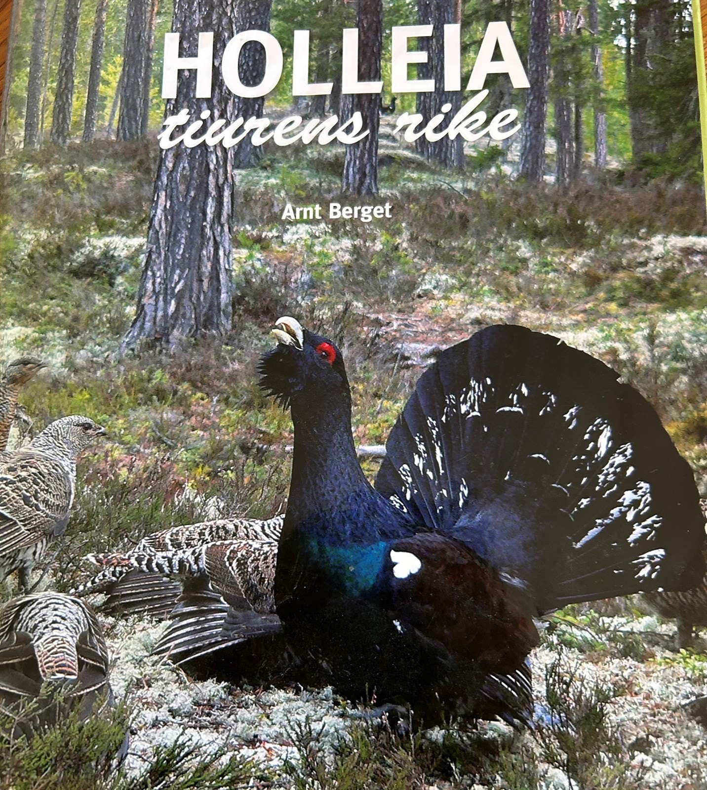 Holleia ligger rett utenfor døra. Galleribilde