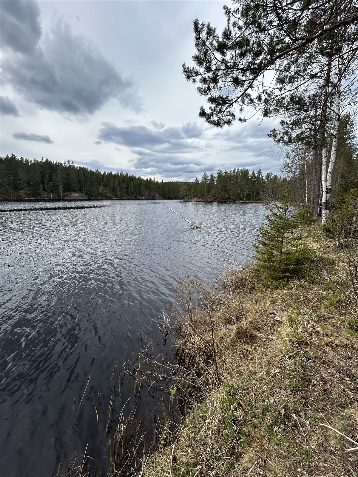 Fine bade- og fiskemuligheter. Selgers private bilde Galleribilde