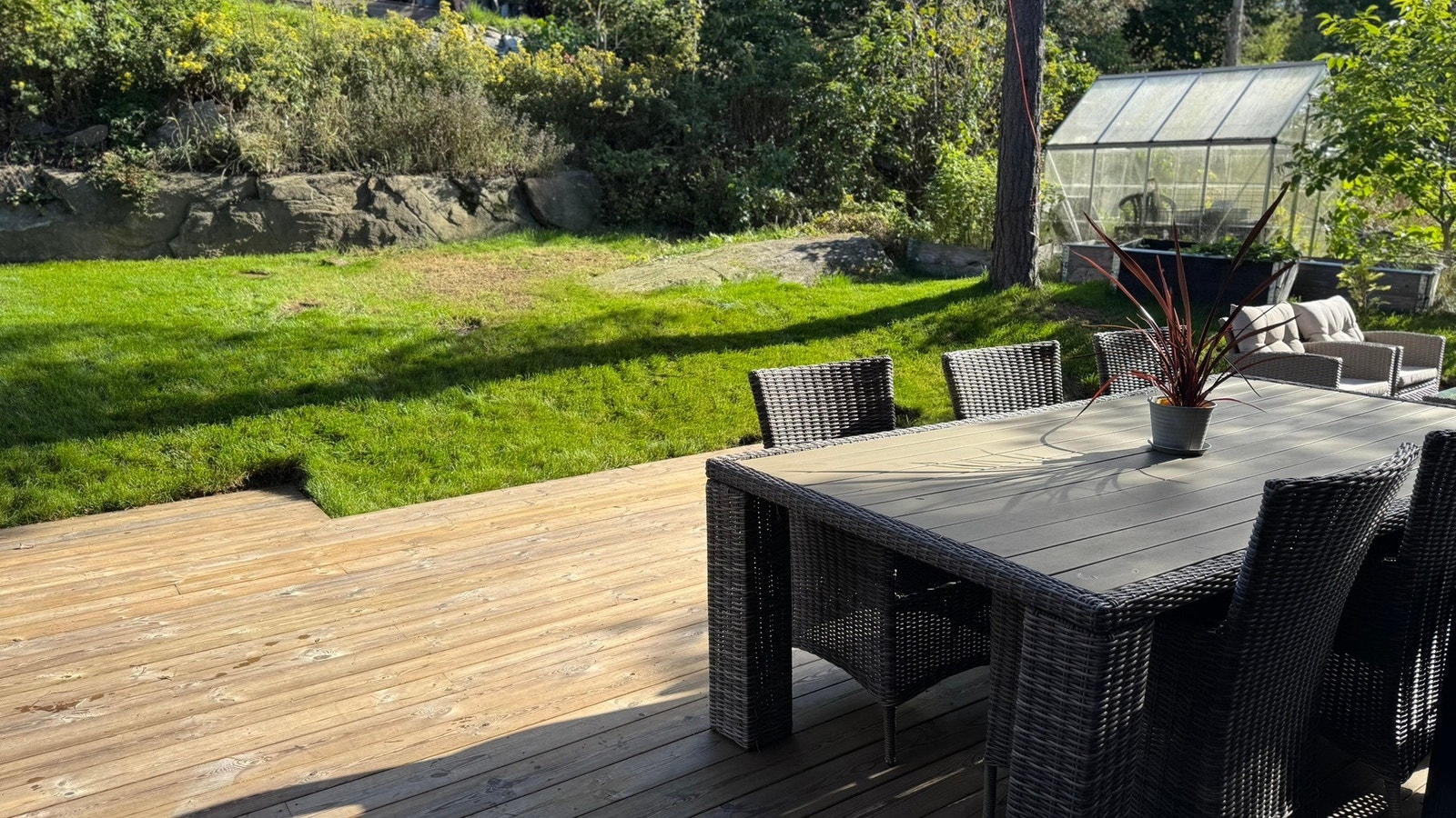 Sommerbilde tatt av selger Galleribilde