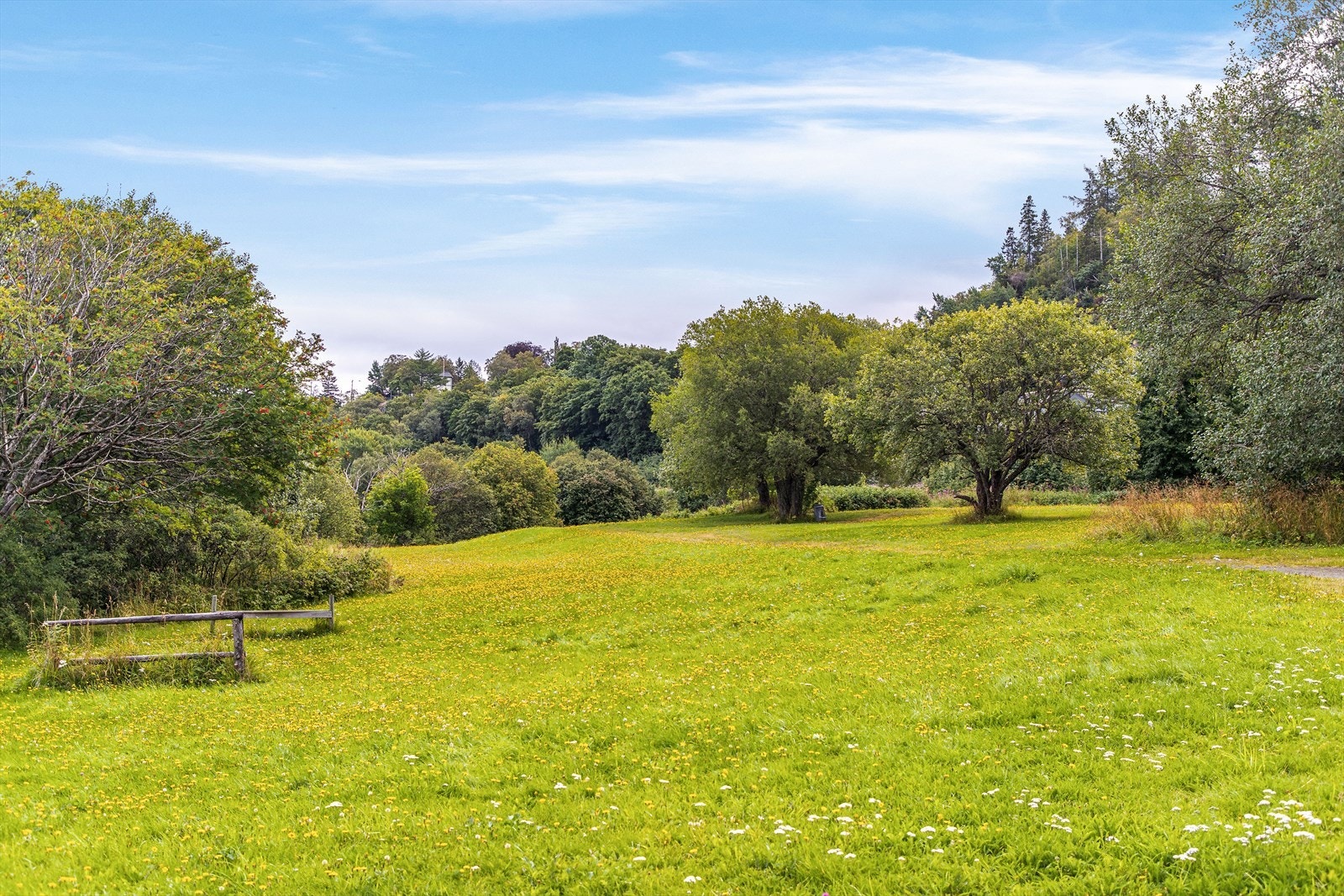 Vikhammerløkka camping- og friområde er perfekt for både fisking, bading og grilling. Galleribilde