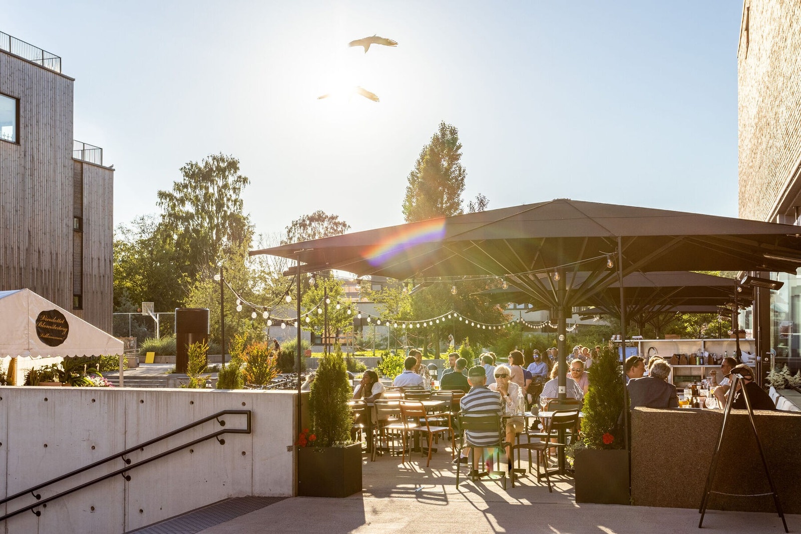 Det er en rekke spisesteder på Vinslottet som Hasle Gastropub, W.B Samson og 8 Fish Sushi. Galleribilde