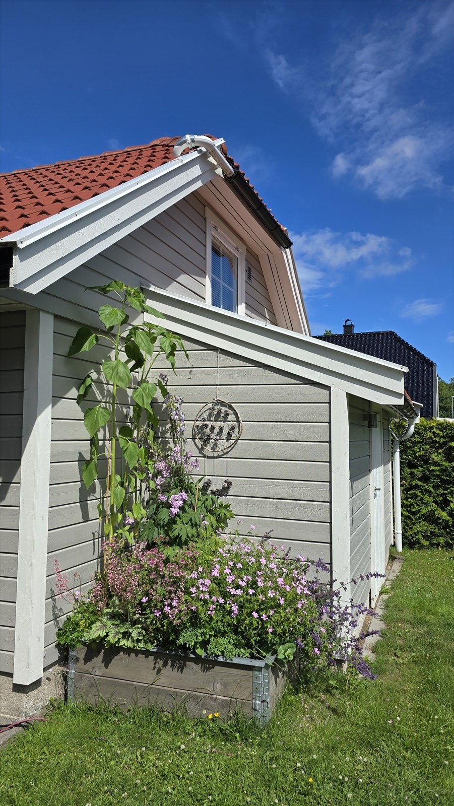 Private bilder som viser hvor fint det er på tomten på sommerstid - med nydelige flerårige stauder rundt om på eiendommen! Galleribilde
