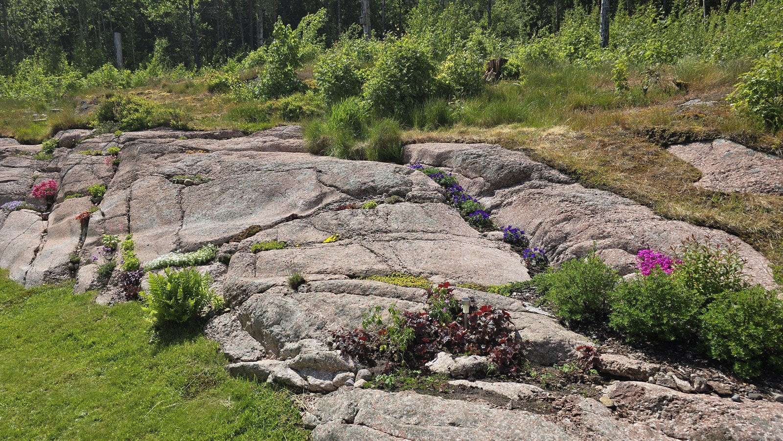 Tomten er fint beliggende i et etablert boligområde med grense mot LNF-område på den ene siden som gir følelsen av å ha skog og natur som nærmeste nabo. Galleribilde