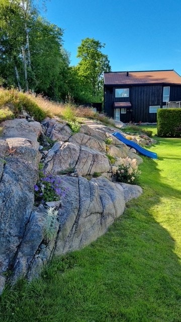 Private bilder som viser hvor fint det er på tomten på sommerstid - med nydelige flerårige stauder rundt om på eiendommen! Galleribilde