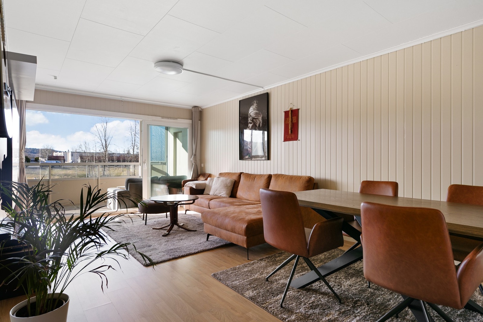 Store vindusflater slipper inn mye naturlig lys Galleribilde