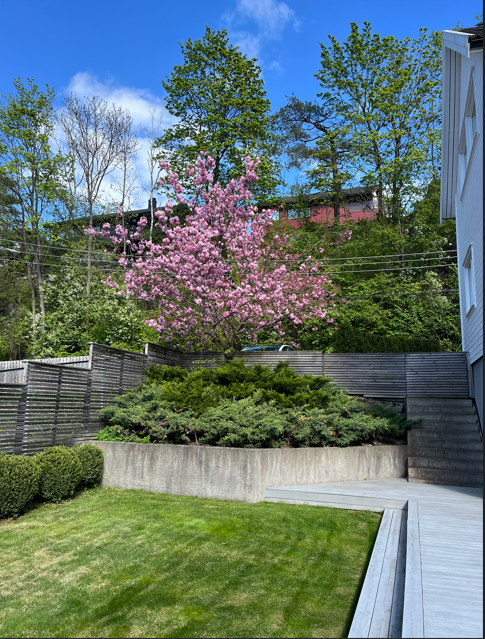 Privat bilde Galleribilde