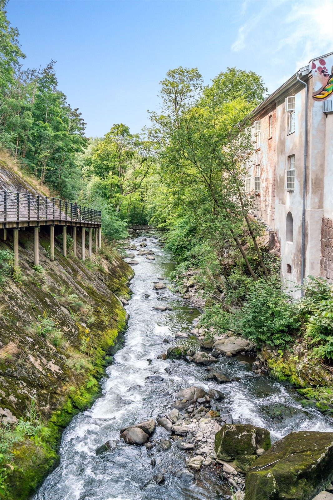 Naturen rett utenfor døra! Galleribilde