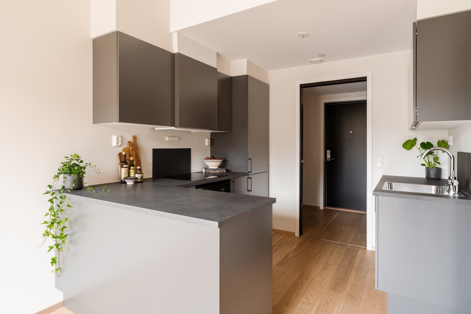 Kjøkkenet er godt utstyrt med integrerte hvitevarer som oppvaskmaskin, stekeovn, induksjonstopp og kjøl-/fryseskap, noe som gir en effektiv og brukervennlig hverdag. Galleribilde