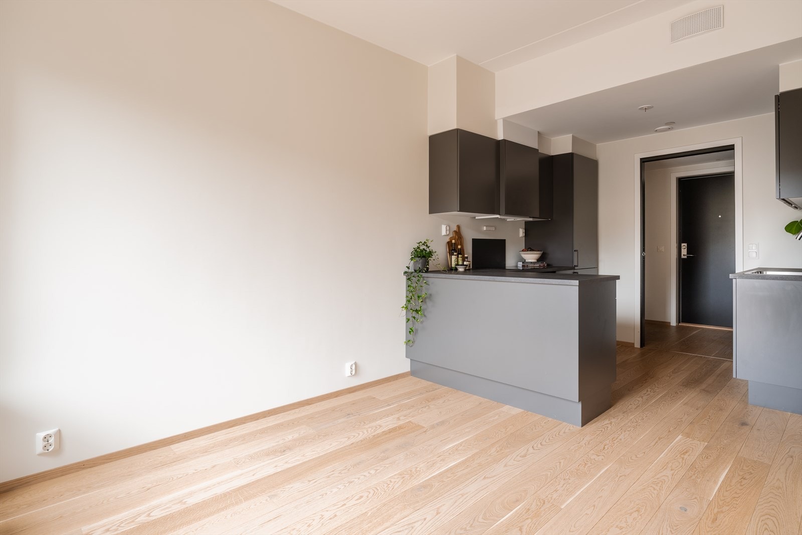 Stue med kjøkken i åpen løsning Galleribilde