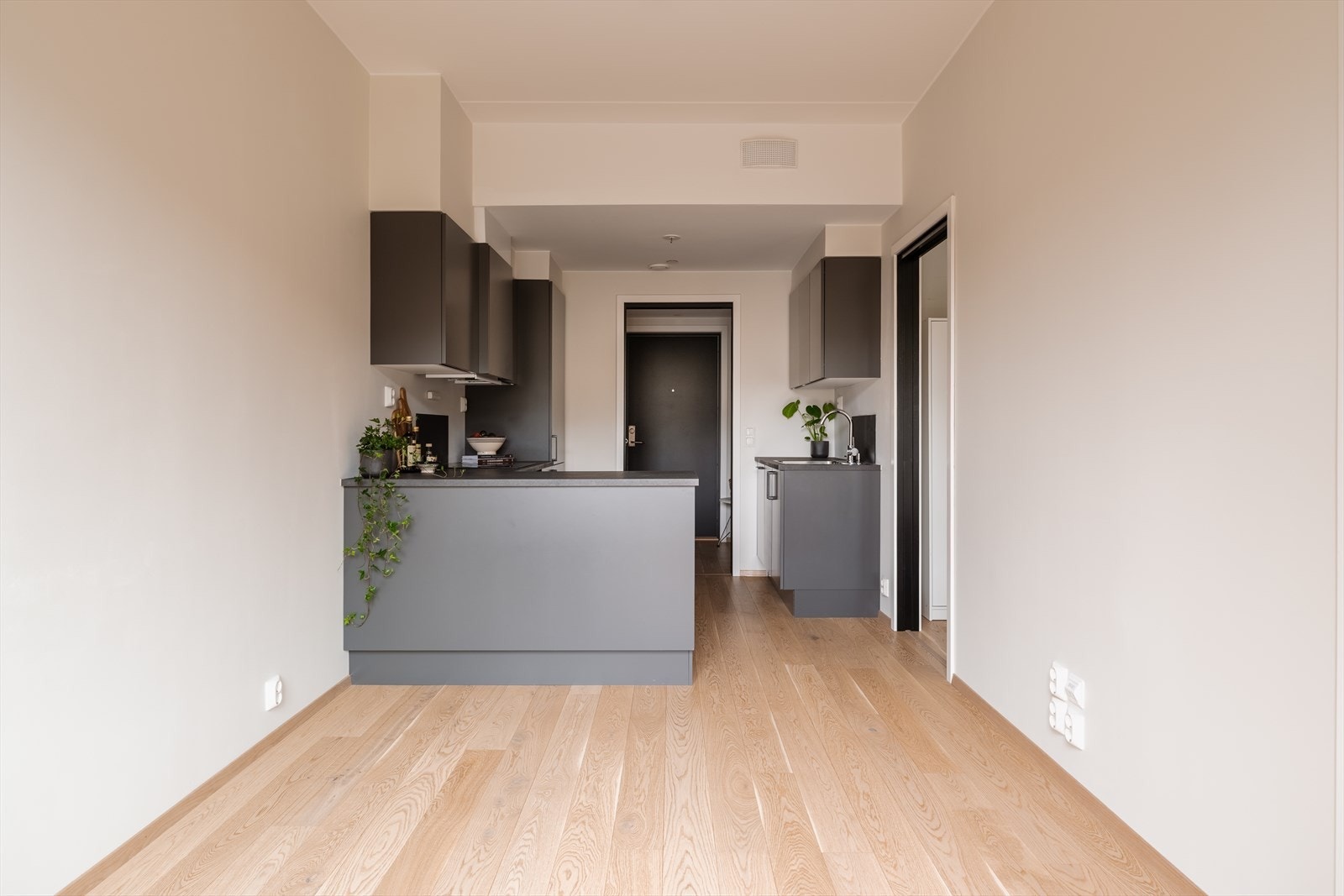 Stuen er arealeffektiv og gir plass til sofa med tilhørende TV-møblement, med en praktisk løsning for en hyggelig oppholdssone Galleribilde