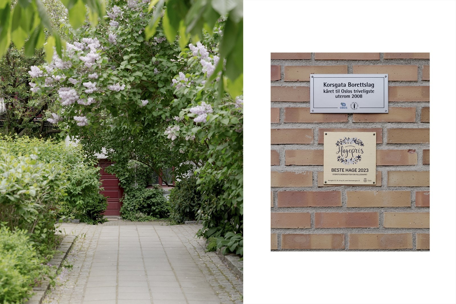 Oslos triveligste uterom 2008 og beste hage 2023. Frodig bakgård og hyggelig inngangsdør Galleribilde