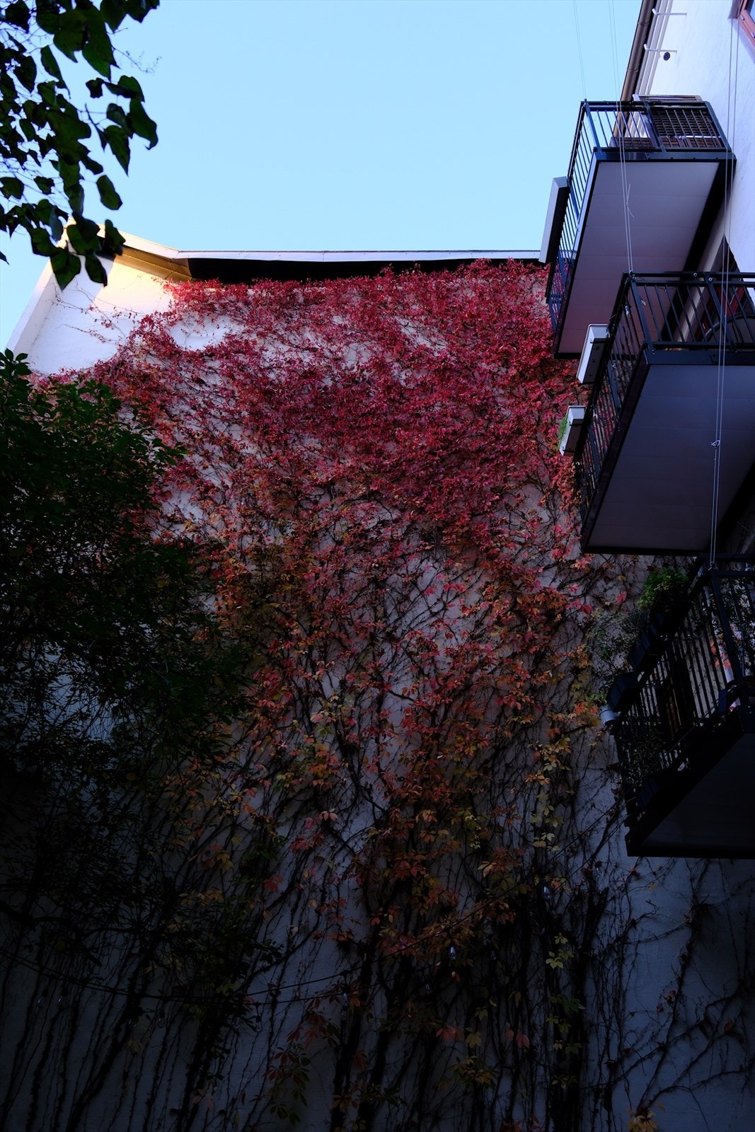 Selgers private foto med fine høstlige farger Galleribilde