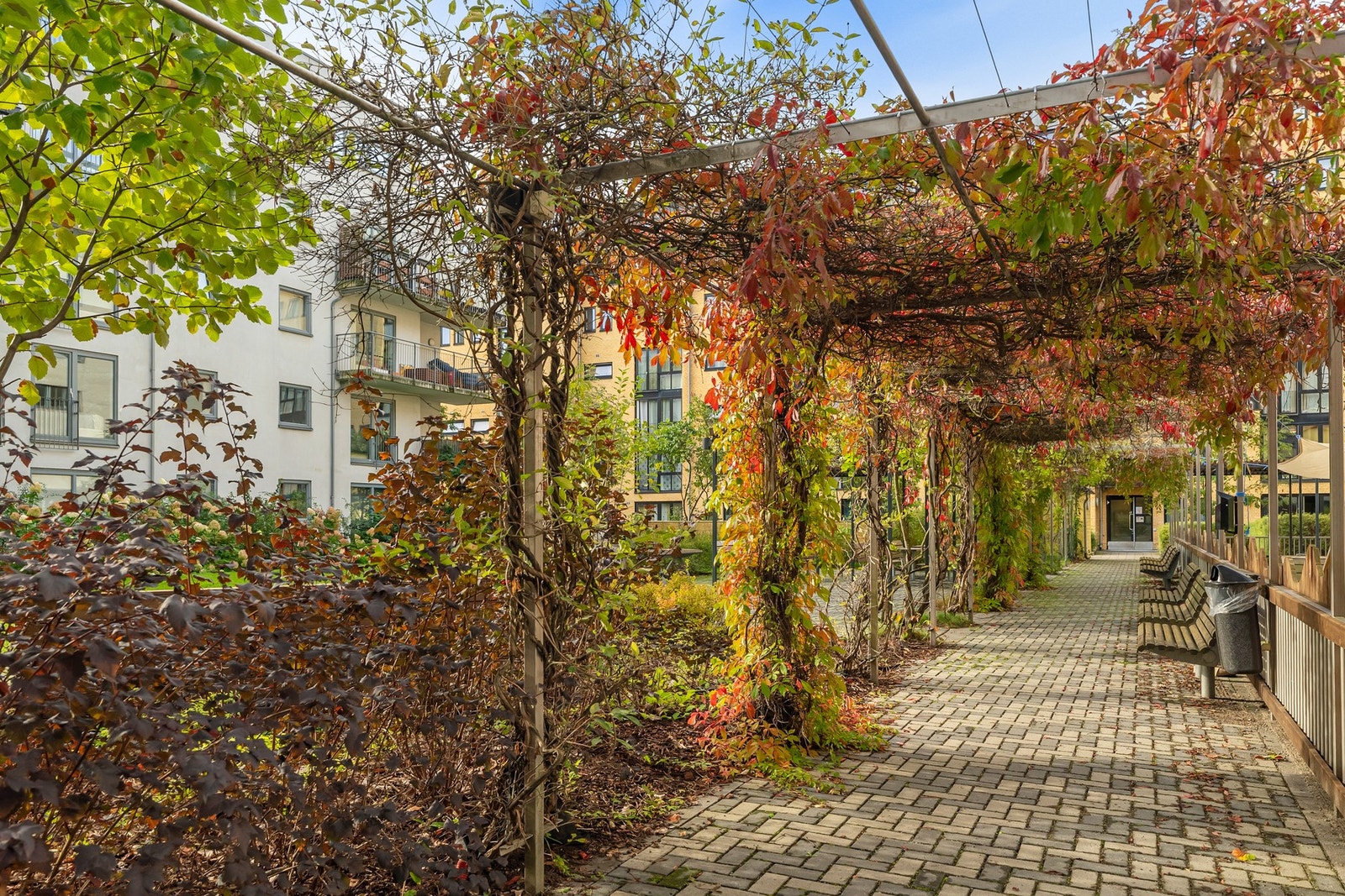 Pent opparbeidet bakgård, skjermet og solrikt med gressplener, frodig beplantning og hyggelige sittegrupper. Galleribilde