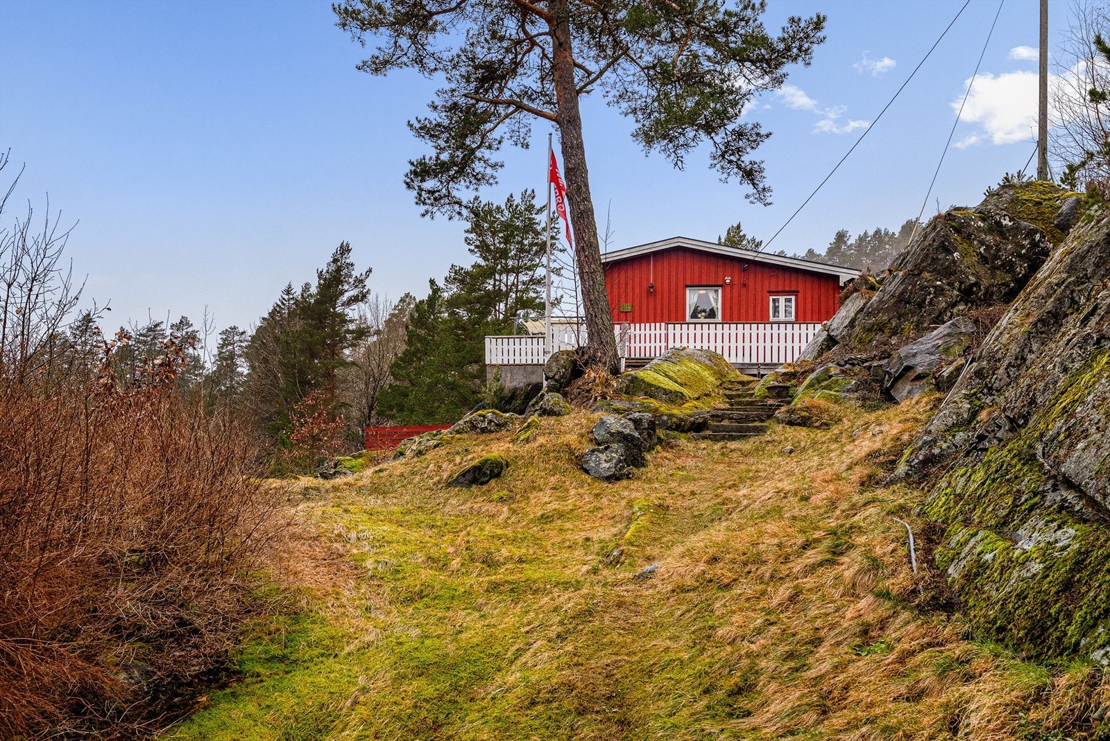 Her er det INGEN HAGE å passe på og luke... Galleribilde