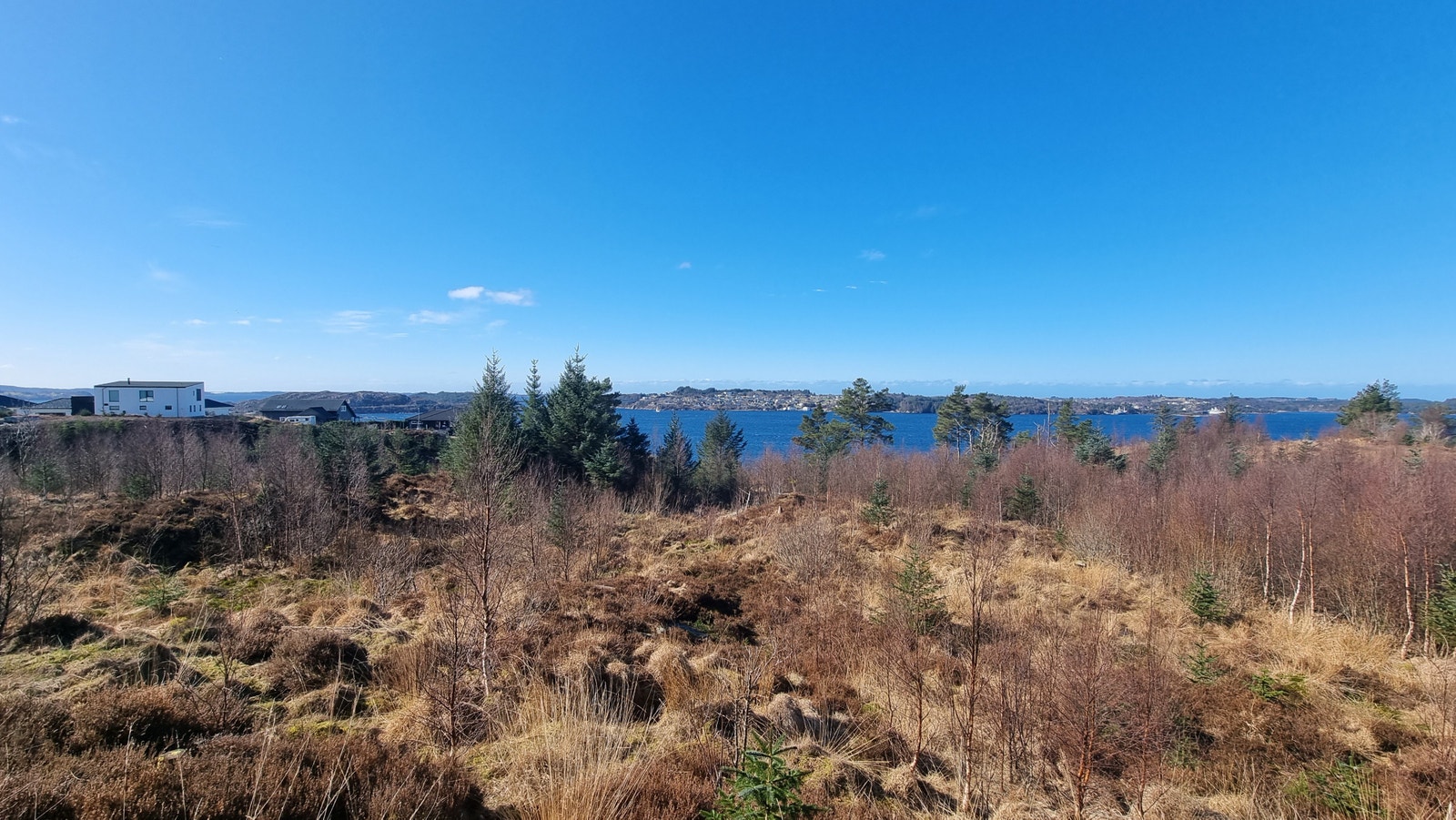 Bilde tatt fra planeringshøyde på tomten BFS 7 Galleribilde