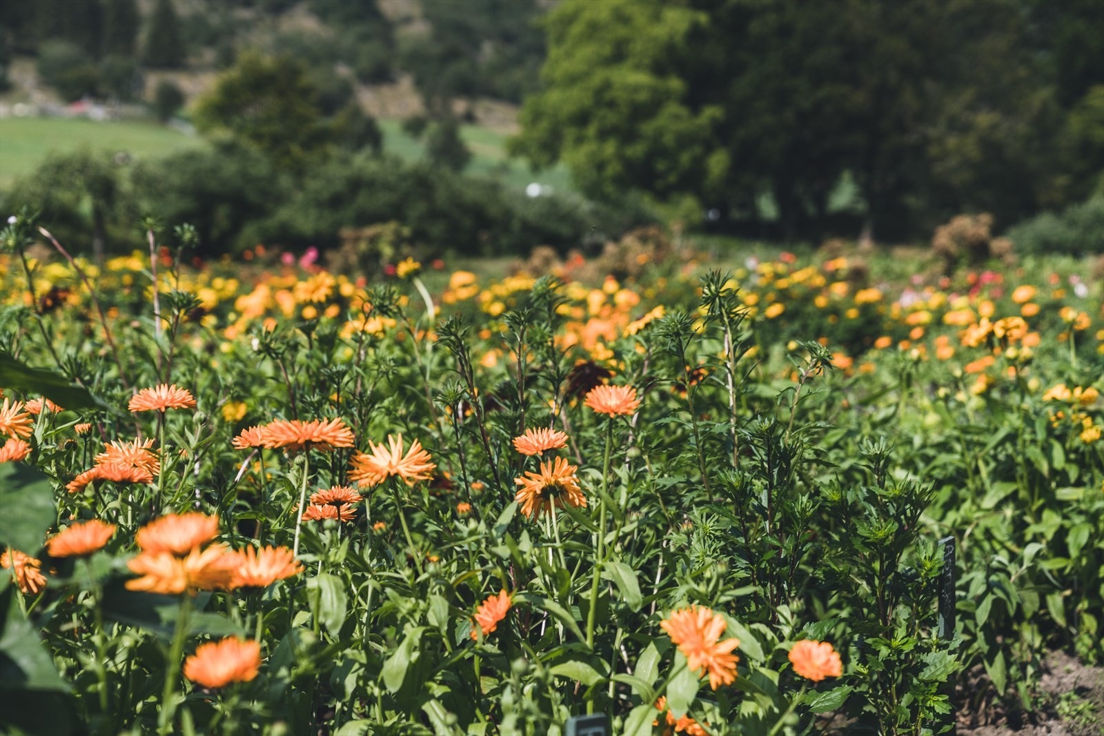 Områdebilder | W Eiendomsmegling. Galleribilde