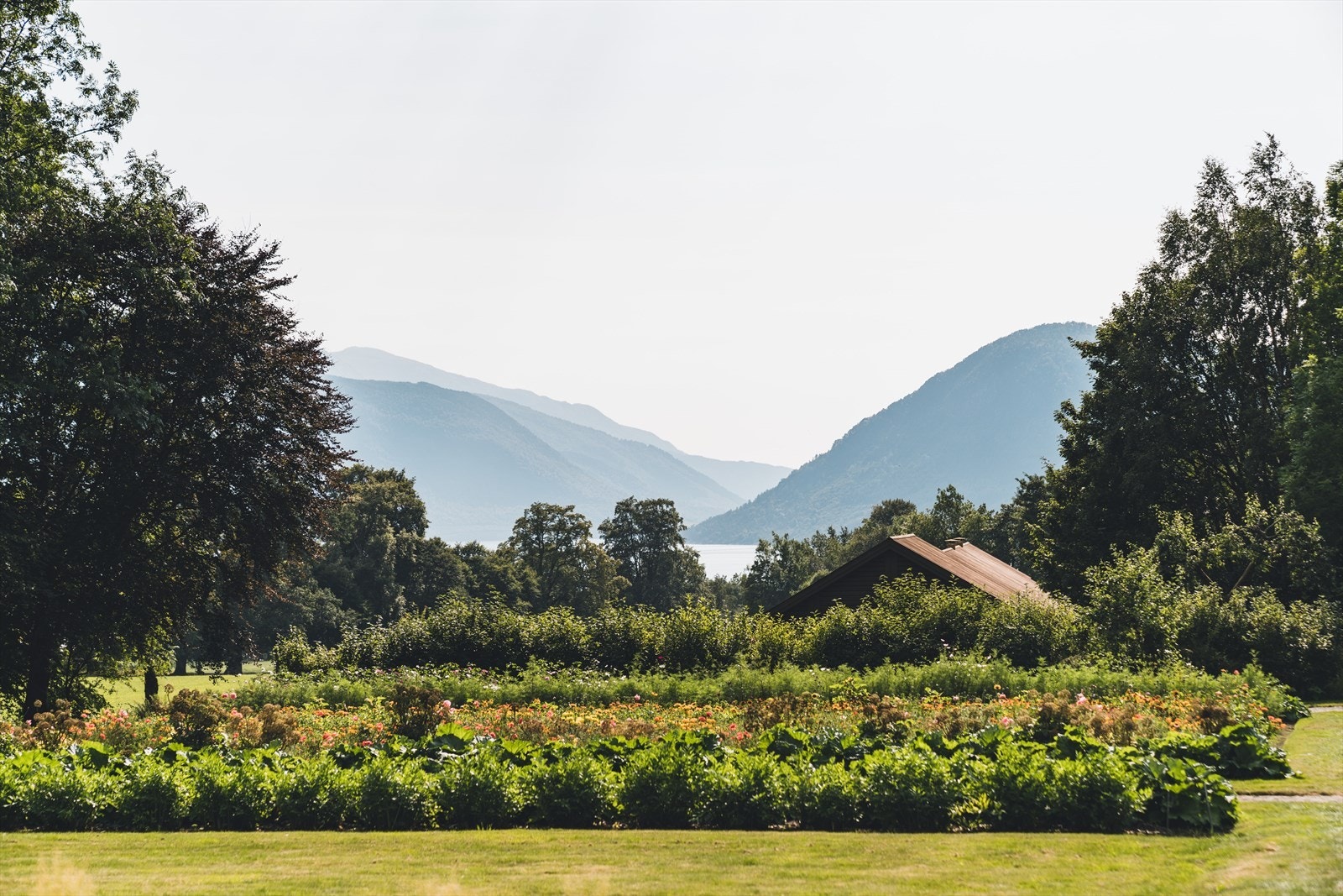 Områdebilder | W Eiendomsmegling. Galleribilde