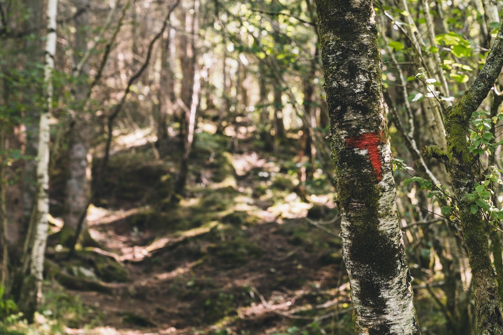 Områdebilder | W Eiendomsmegling. Galleribilde