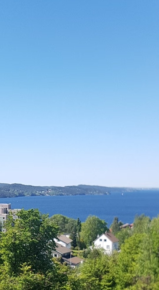 Selgers eget utsiktsbilde Galleribilde