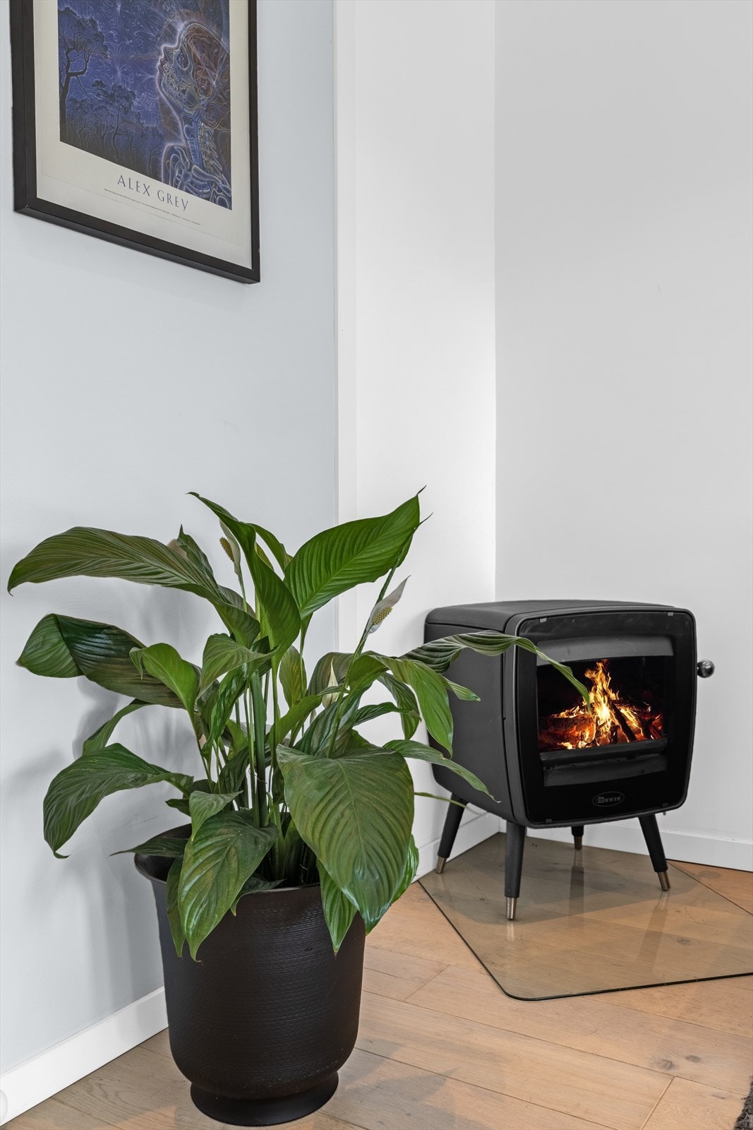 Peisovn med glassdør gir ekstra varme og hygge på kalde dager. Galleribilde