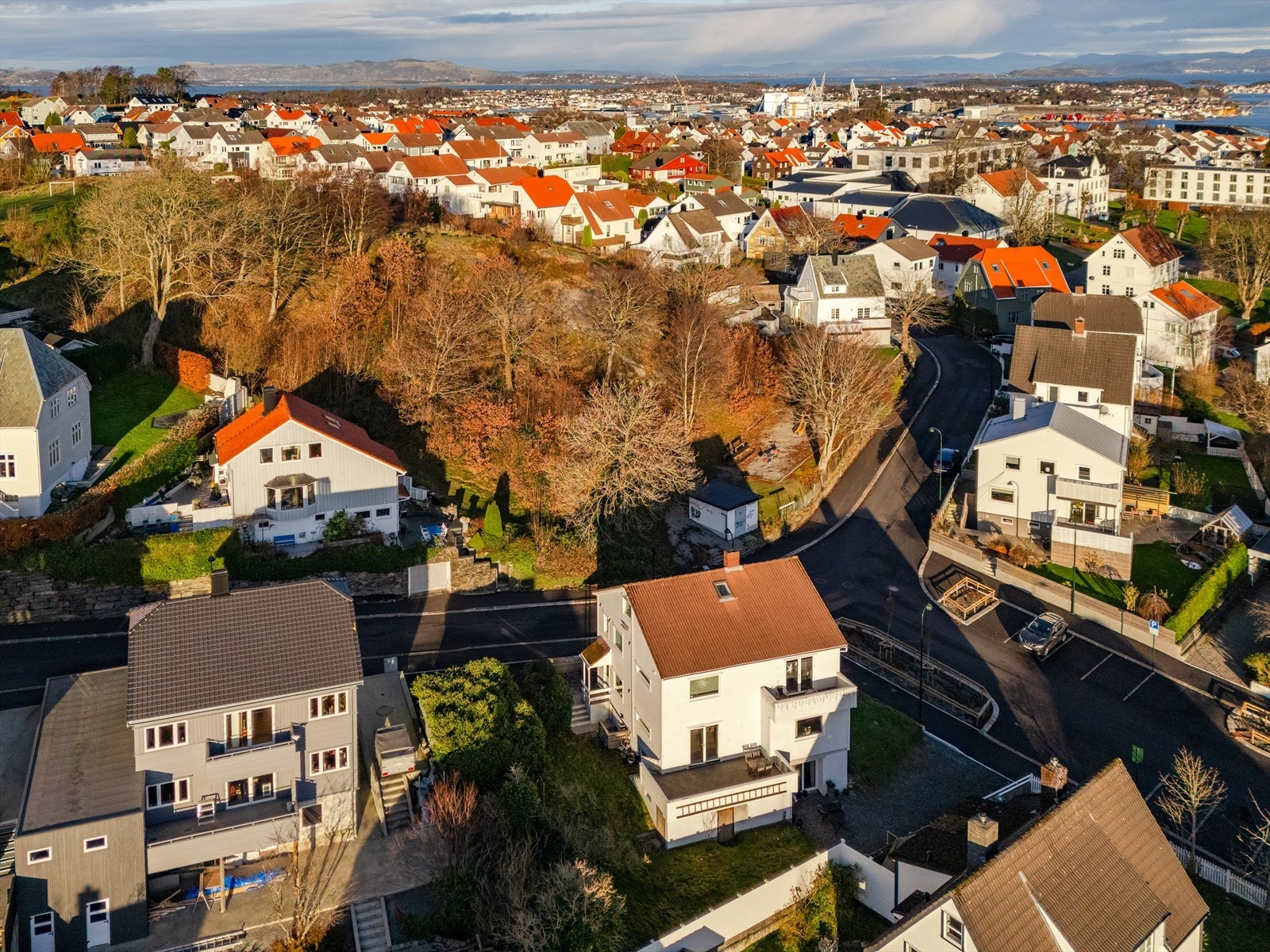 Nærområde Galleribilde