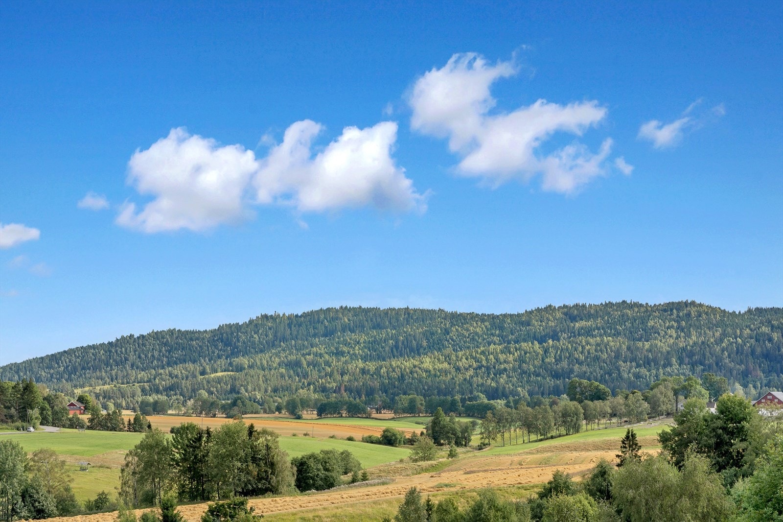 Flotte turmuligheter i Østmarka året rundt Galleribilde