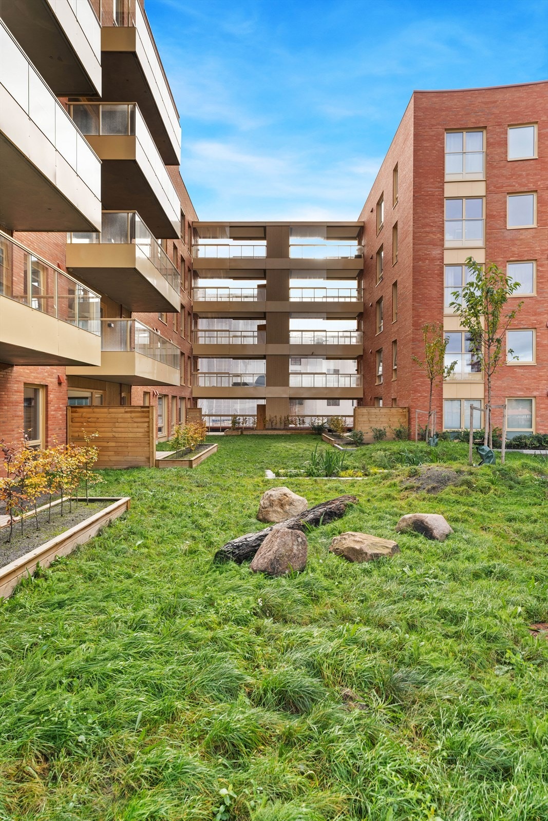 Flotte grøntaraler på borettslagets tomt Galleribilde