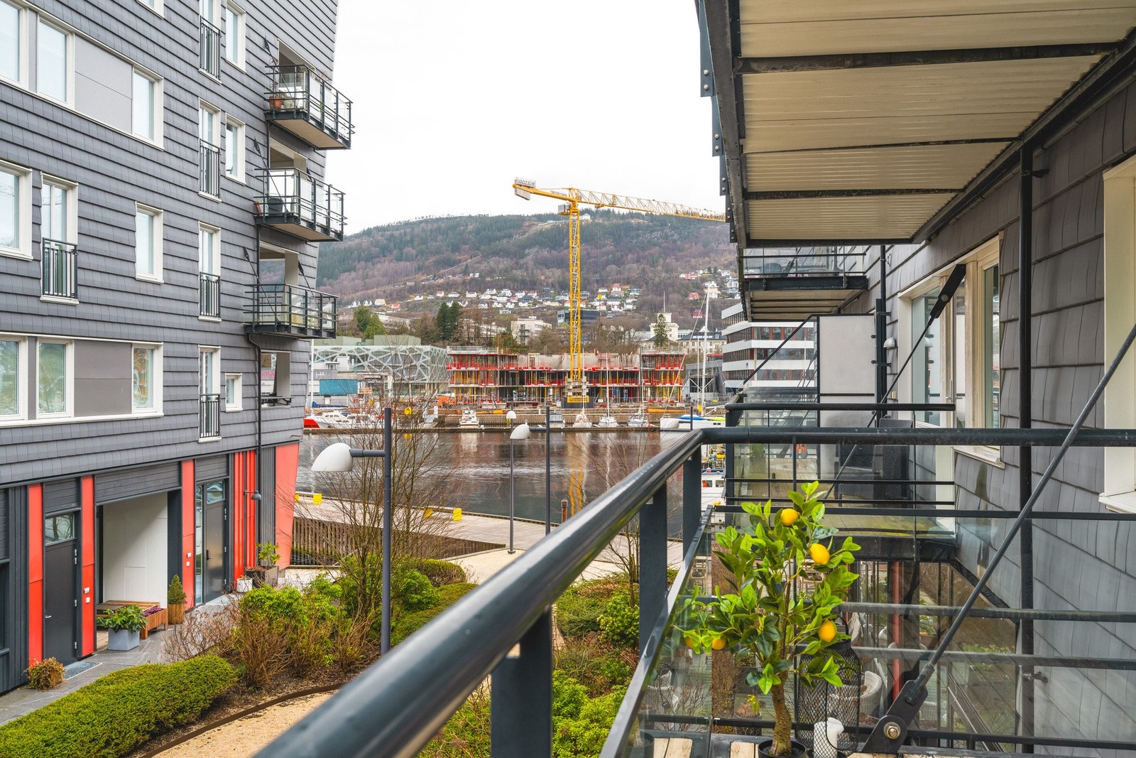 Her kan du nyte fine solforhold og en pen utsikt mot damsgårdssundet. Galleribilde