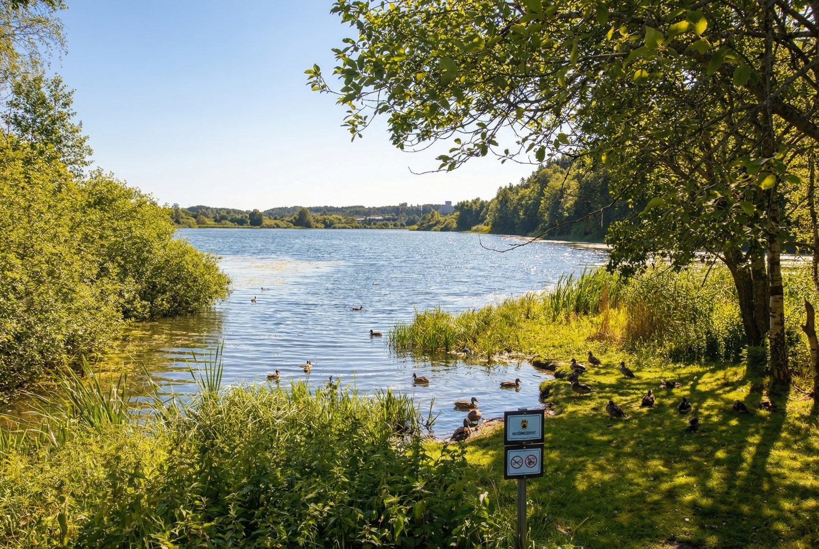 Kort vei til flotte turområder og rekreasjon, som her ved Østensjøvannet. Galleribilde