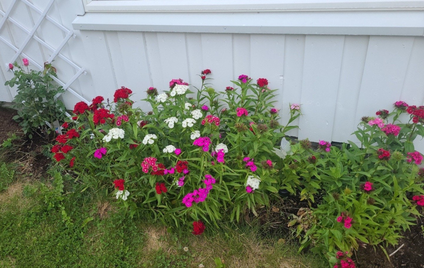 Privat bilde tatt av selger. Galleribilde