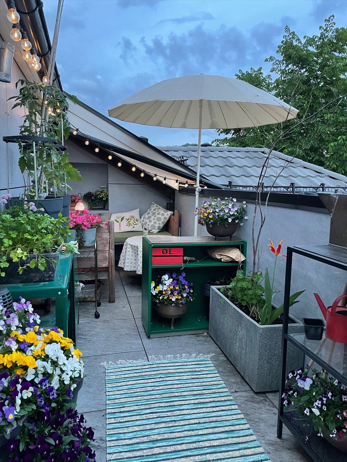 Bildet tatt på sommeren av selger. Galleribilde