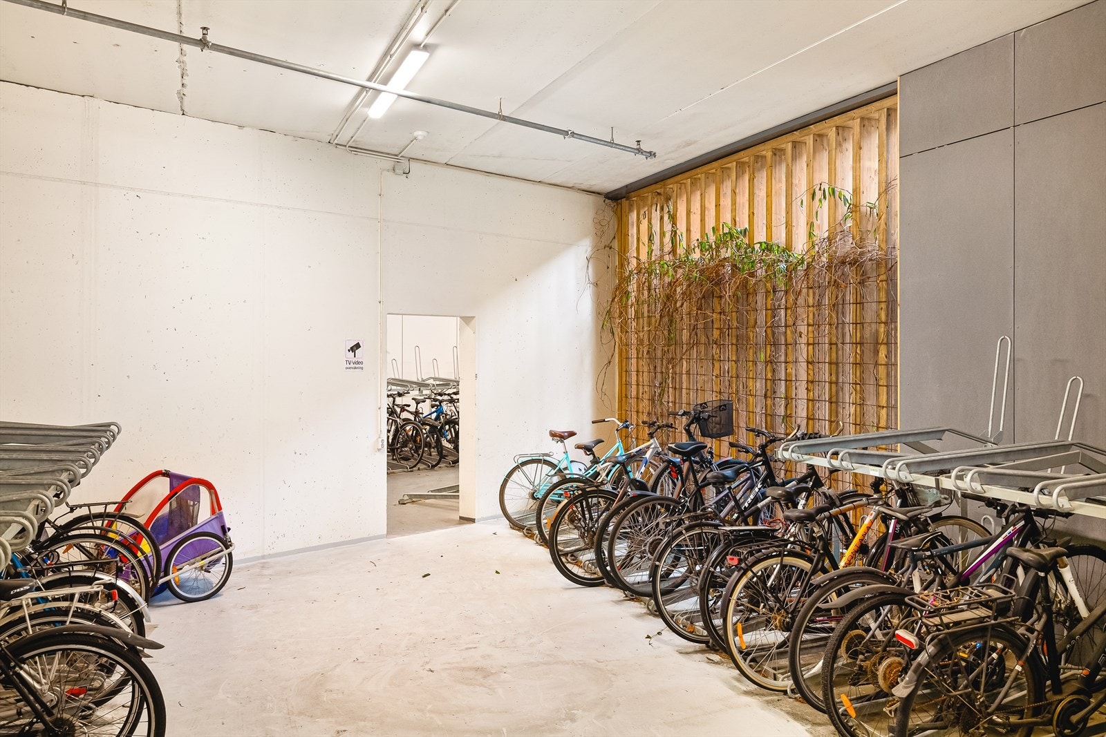Det er felles sykkelparkeing i bygget. Galleribilde
