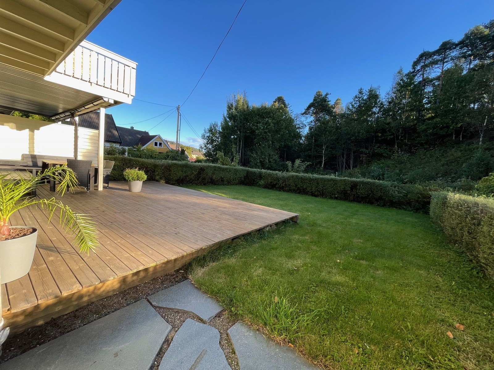 Frodig uteområde Galleribilde