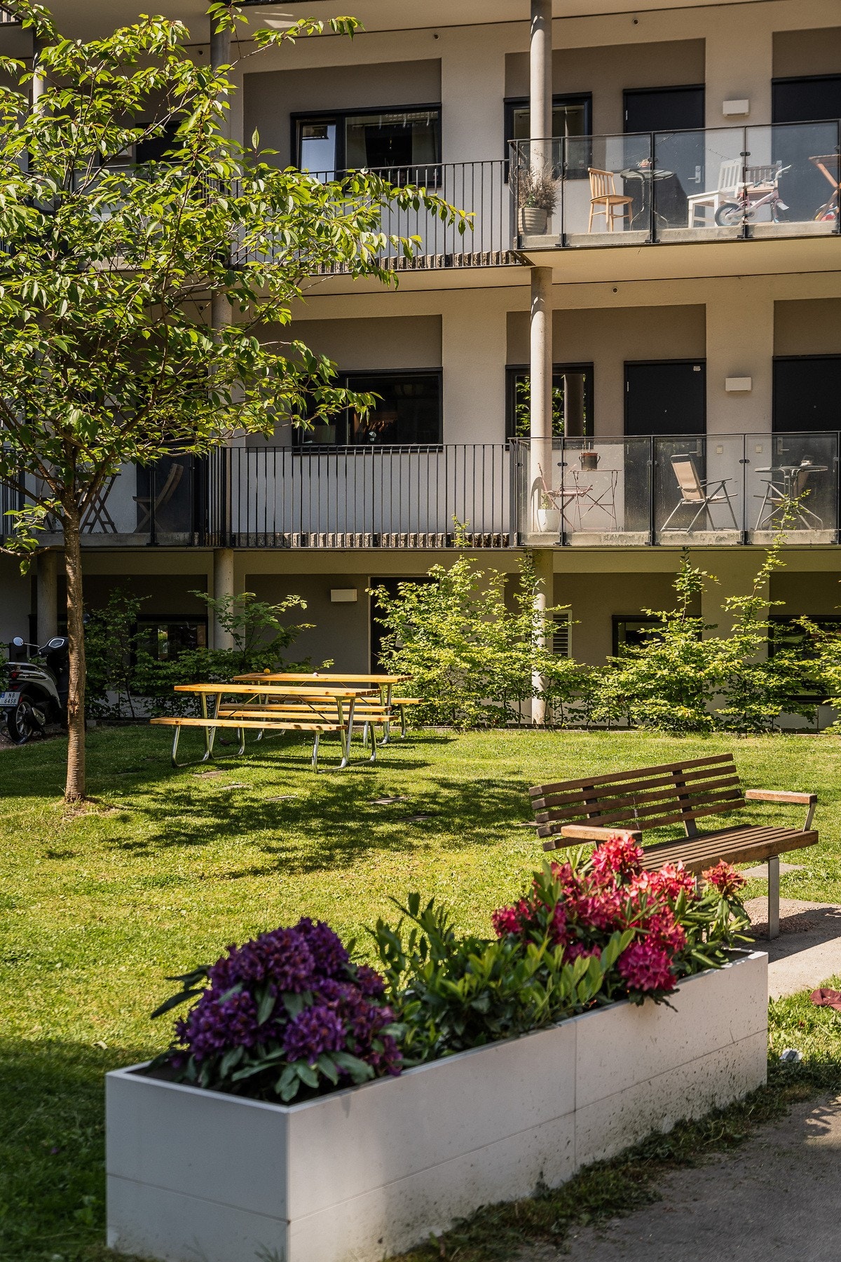 Grøntområder rundt bygget gir et pust av natur midt i byen. Galleribilde