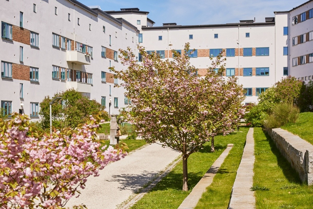 Populære Funkisgården er kjent for sitt romslige og idylliske gårdsrom som består av hyggelige grøntområder med gressplener, frukttrær, beplantning, gangstier, lekeområder og hyggelige sittegrupper Galleribilde