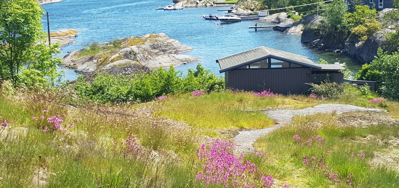 Her får du en unik naturtomt med svaberg, villblomster og vakker sjøutsikt. Galleribilde