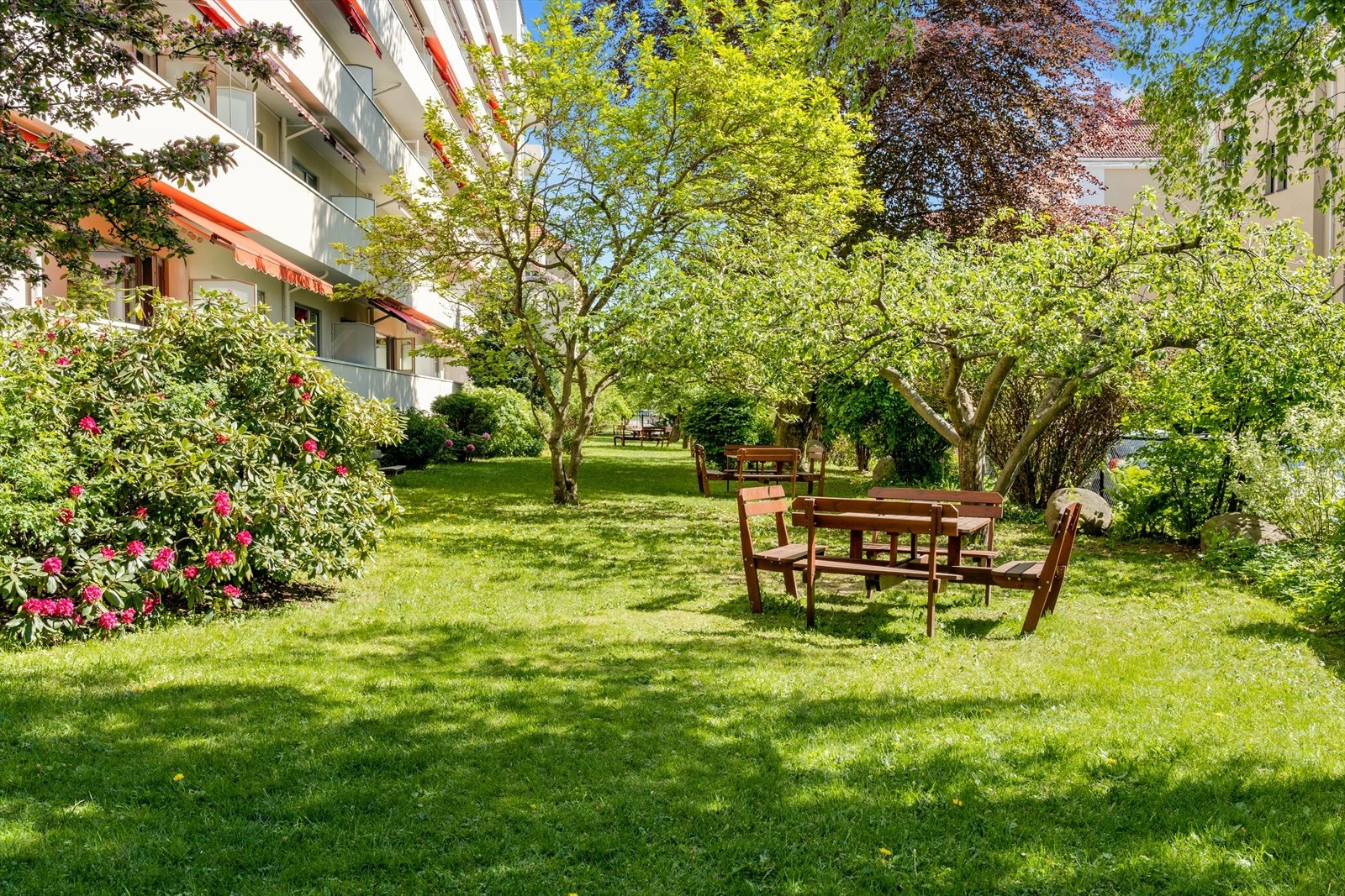 Sameiets idylliske forhage er opparbeidet med inspirasjon fra engelsk hagestil. Galleribilde